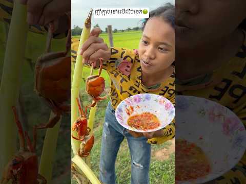 แแแถแแแแแถแแแ
แแพแแพแแ
แแ แแฒแ๐ #edit #mukbang #food