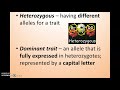 Genetics Concepts and Terminology