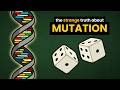 Mutation Bias and Natural Selection