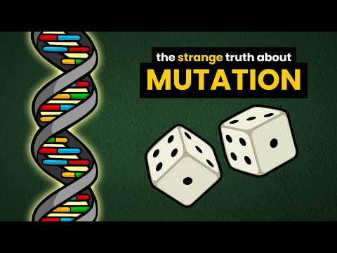 Mutation Bias: Were We Wrong About Evolution?