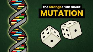 Mutation Bias: Are Mutations Truly Random?