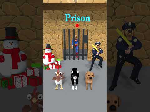 Chicken, Cat cute Vs Dog cute? Which animal can rescue Superman Dog from prison? #cat #dog