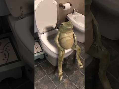 Quien está en el baño #comedia #lacolombiana #humor #shortsviral #comedy