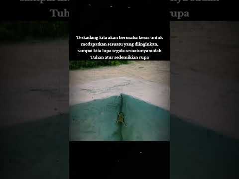 Sebuah perjuangan #kodok #kodoklucu #katak #hewanlucu #hewanunik #lucu #fyp