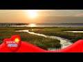 Understanding Marshes and Their Importance