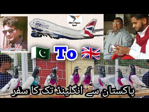 Pakistan🇵🇰 se 🇬🇧England ka safar | Teddy kabootar