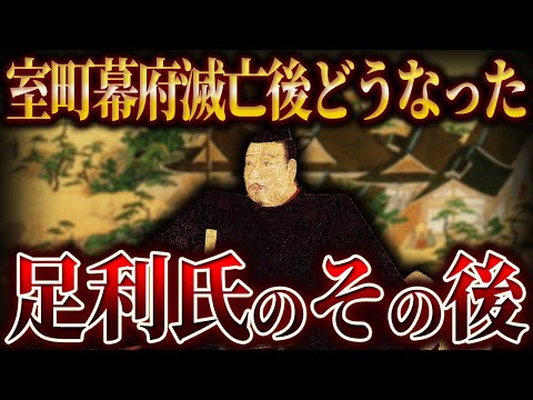 【ゆっくり解説】足利氏はその後どうなったのか？