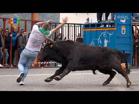 Toro nº79 y Tarde de Vaquillas Juan Faet - Cirat 2025 (Castellon) Toros Fran Gomez Bous Al Carrer