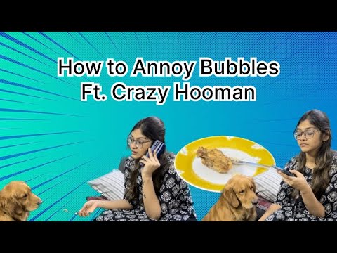 How to Annoy Bubbles Ft Crazy Hooman 😌🥺❤️😂
