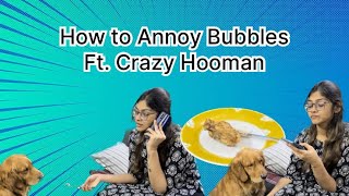How to Annoy Bubbles Ft Crazy Hooman 😌🥺❤️😂