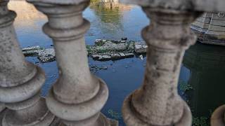 YouTube video thumbnail: Drought Reveals Emperor Nero's Bridge Beneath Rome's Tiber River