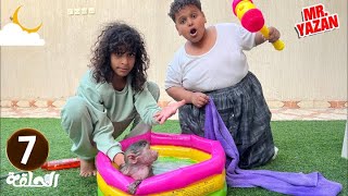 البطريق ومؤيد اشترو مسبح للقرده ورده حلقه 7 😭🔥
