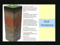 Soil Horizons and Their Characteristics