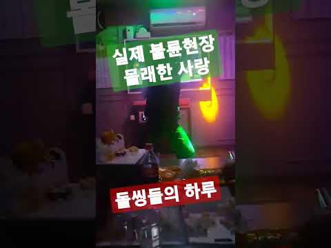 #실제상황 #돌씽 #불륜#건달 이게 회사 회식이야 개판이다.