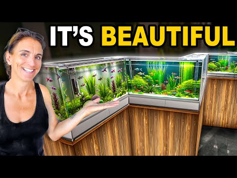 My One Of A Kind Fish Tank Is Finally Ready!