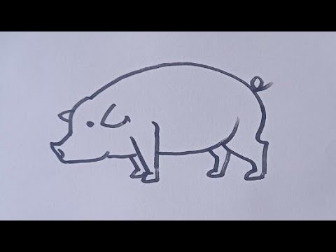 How to draw a Pig drawing  / Pig drawing step by step / Animal drawing