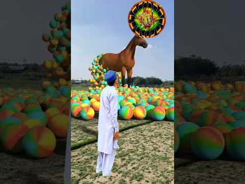 💙Hasbi rabbi jalallah ❤️Proud to be Muslim❤️- #shorts