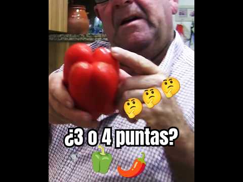 Aprende a diferenciar pimiento de 3 o 4 puntas  #recetas #comida #cocina #padrinomedia #españa