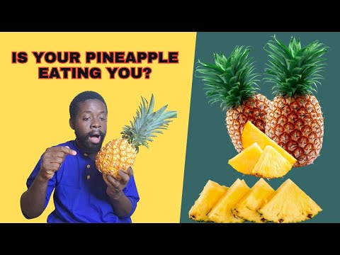 Is Pineapple Eating You? The Surprising Truth and Health Benefits!