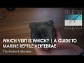 Vertebrae Characteristics and Misconceptions