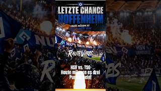 HSV vs. TSG - 31. Spieltag Bundesligasaison 2025-2026 - Letzte Chance Hoffenheim