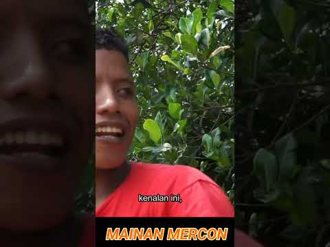 BAHAYA MAINAN MERCON