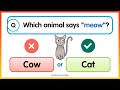 Language and Vocabulary Questions