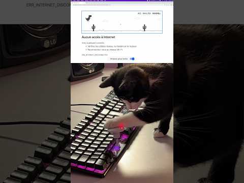 J’ai appris à mon chat à jouer au Dino sur Chrome
