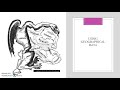 Geographic Data in Decision-Making