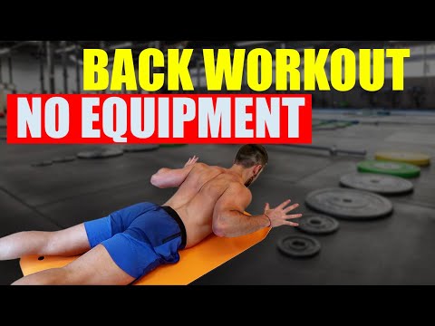 Back Workouts With No Equipment Jobs Ecityworks