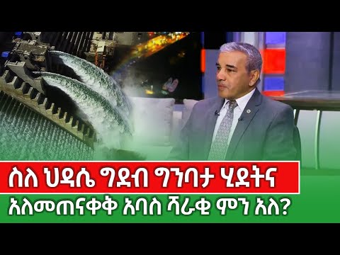 ስለ ህዳሴ ግድብ ግንባታ ሂደትና አለመጠናነቅ  አባስ ምን አሉ? kings of Abbay