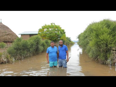 አሳዛኙ የስልጤ የጎርፍ አደጋ ከቦታው የየነው ከታሰበው በላይ ነው አስቸኳይ ትኩረት ይሻል