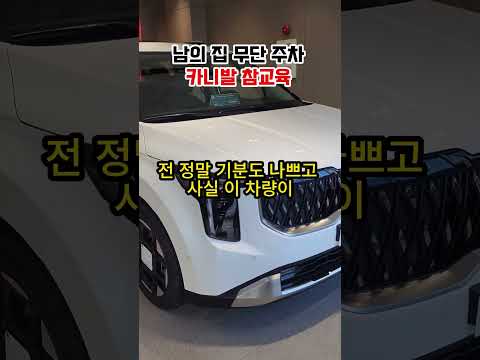 남의 집 무개념 무단주차 카니발 참교육