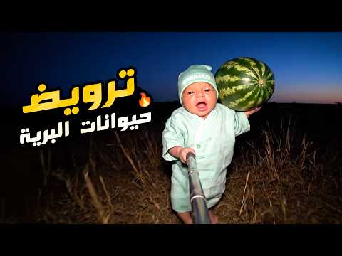 فلوق توأم الذكاء الاصطناعي | رحلة ترويض الحيوانات المفترسة! 🗺️🔥