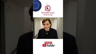 EU-Turkey relations, Horizon, and global talent: a conversation with MEP Elisabetta Gualmini
