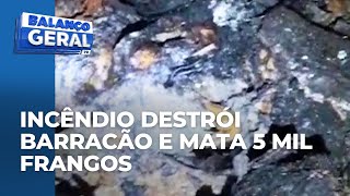 Incêndio destrói barracão e mata cerca de 5 mil frangos em Santa Tereza do Oeste