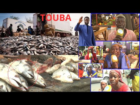 URGENT : La population de Touba souffre d'un manque de poisson..?Diomaye nieuwé ak légi dieun moom..