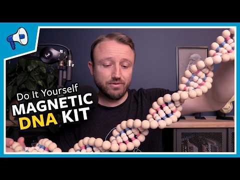 Make Your Own Magnetic DNA Model: Stated Clearly