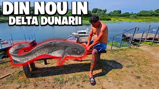 PESCUM LA SOMN IN DELTA DUNĂRII 