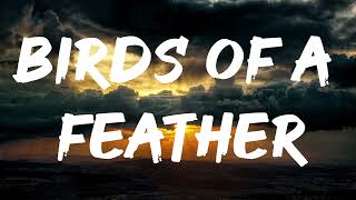 Billie Eilish - BIRDS OF A FEATHER (Lyrics)