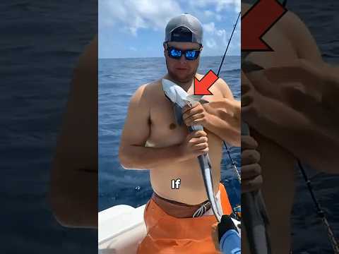Crazy suction cup fish #shorts