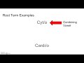 Exploring Medical Terminology: Prefixes, Roots, and Suffixes