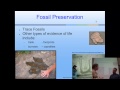 Mammals, Fossils, and Geological Principles