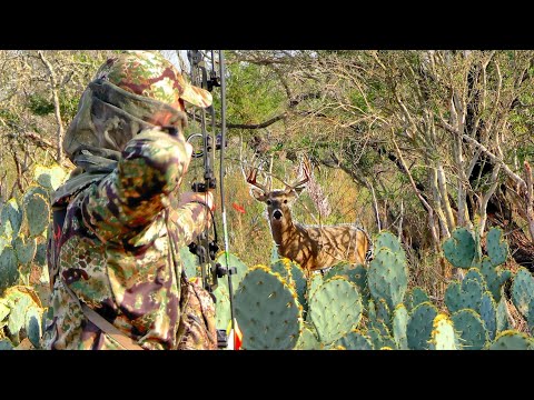 186" Buck at 14 YARDS from the GROUND | South Texas Monster Whitetail with a Bow