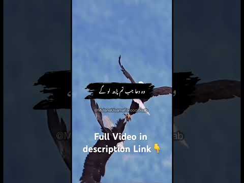 Har Pareshani Ka Wazifa | Maulana Usama Farooqi Sahib | Urdu Bayan