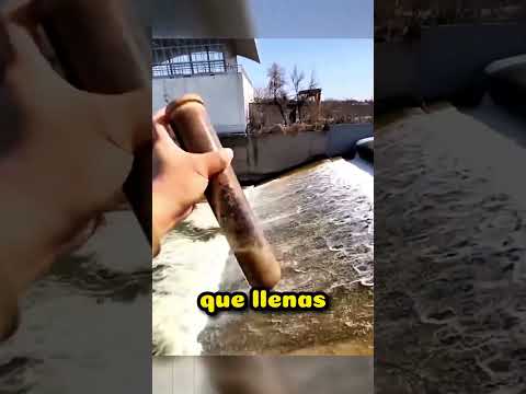 Este Químico Puede Salvarle la Vida 🧪🧐