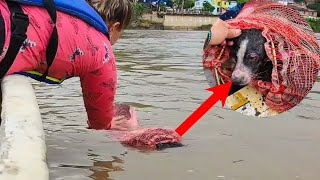 The Wet Muzzle Peeking from the Red Sack. The River Tried to Take Her – But She Chose to Stay.