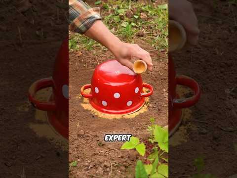 This Guy Is The Ultimate Planting Expert