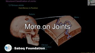 More on Joints