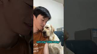 Calling my dog a "little princess" vs. "chubby"